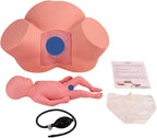Birth Midwifery Training Simulator Model PVC Anatomy Childbirth Simulator Manikin Female Pelvis & Baby Model Normal and Abnormal Fetal Positions for Study Display Teaching Medical Model