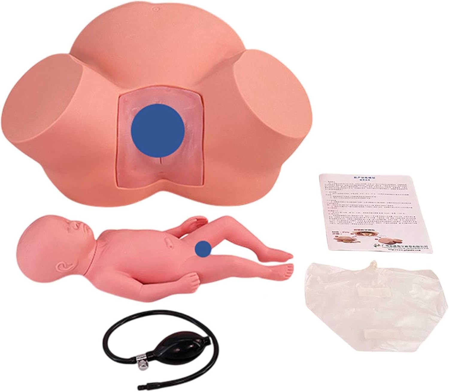Birth Midwifery Training Simulator Model PVC Anatomy Childbirth Simulator Manikin Female Pelvis & Baby Model Normal and Abnormal Fetal Positions for Study Display Teaching Medical Model