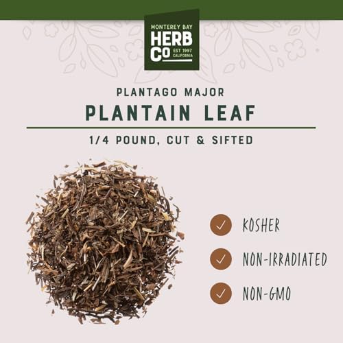 Plantain Leaf Cut & Sifted, by Herb Co, Cuckoo's Bread, Ripple Grass, Used in Tea Blends, 1/4lb