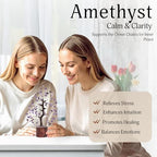 Amethyst Crystal Tree - Gem Tree - Amethyst Tree - Money Crystals - Crystal Tree Feng Shui - Crystals Decor -