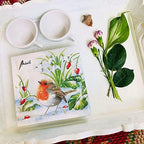 20-ct 13x13 Robin Christmas Napkins for Decoupage - Winter Bird Paper Napkins for Fall and Thanksgiving Decorative