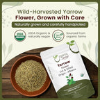 Organic Way Yarrow Flower Cut & Sifted (Achillea millefolium) - Herbal Tea | European Wild-Harvest | Kosher & USDA Certified | Vegan, Non-GMO & Gluten Free | 100% Raw from Albania (1/4LBS / 4Oz.)