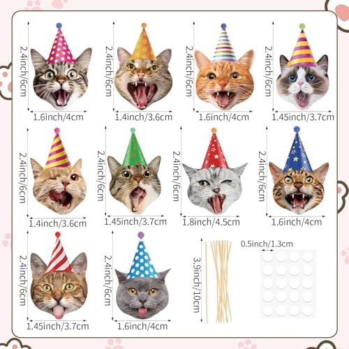 Hooqict 40Pcs Cat Cupcake Toppers Birthday Cupcake Toppers Cake Decorations for Kids Boys Girls Pet Cat Themed Birthday Party Decorations Supplies