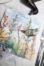 Zelten Colored Paper Napkins, 20 Count Shabby Chic Napkins for Wedding, Dinner Tea Party Shower Cocktail Napkins (Goose)