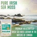 XPRS Nutra Irish Sea Moss Powder (Chondracanthus Chamissoi) - Premium Wildcrafted Seamoss Powder for Glowing Skin - Total Body Health Sea Moss Drink Powder - Vegan Friendly Irish Moss (4 oz)
