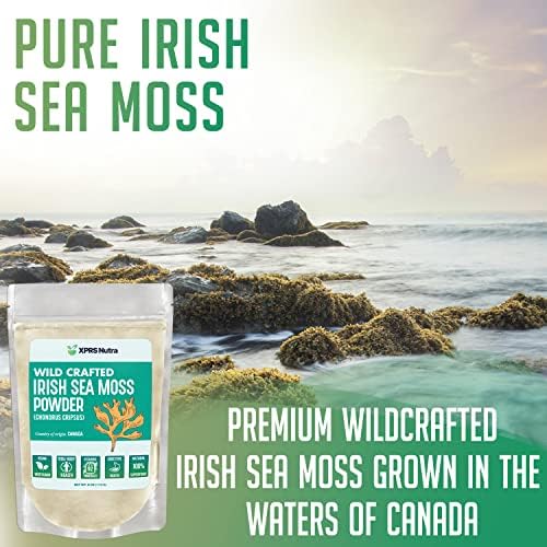 XPRS Nutra Irish Sea Moss Powder (Chondracanthus Chamissoi) - Premium Wildcrafted Seamoss Powder for Glowing Skin - Total Body Health Sea Moss Drink Powder - Vegan Friendly Irish Moss (4 oz)