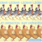 Emma Bridgewater Lunch Napkins Hens Chickens - 33 cm Square 20 in Pack