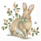 IHR Ideal Home Range Party Napkins Disposable 3-Ply Paper Lunch Napkin Pack, 6.5" x 6.5", Garden Bunny, 20-Count