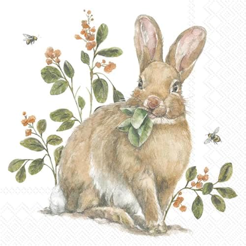 IHR Ideal Home Range Party Napkins Disposable 3-Ply Paper Lunch Napkin Pack, 6.5" x 6.5", Garden Bunny, 20-Count