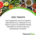 NaturesPlus Zinc - 50 mg, 90 Tablets - Supports Immune Health & Overall Well-Being - High-Potency Amino Acid Chelate Form - Gluten Free, Vegetarian - 90 Servings