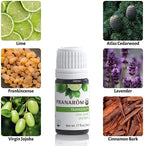 Pranarom - Tranquility Essential Oil Blend (5ml) - Lemon, Bergamot, Distilled Lime, Petitgrain, Spearmint, Orange - 100% Pure Essential Oil for Grounding & Clarity|USDA and ECOCERT Certified Organic