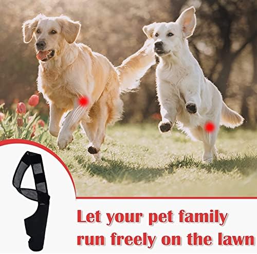 Dog Elbow Protector Pads, Neoprene Hind Legs Sleeve Reducing Pain Provides Support Knee Wrap Wounds Joint Brace for Small Medium Dogs (L)
