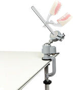 Typodont Teeth Model Training Mount, Pole Teeth Model Mount Fixed on Desk Training Manikin Dental Schools Education Practical Typodont 360° Motion