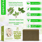 Poison Ivy Soap Bar - All Natural Poison Ivy Treatment - Anti-Itch Soap Skin Cleanser Bar for Poison Ivy, Poison Oak & Sumac - Removes Oils, Soothes & Relieves Rashes - 4 oz Bar Made in USA