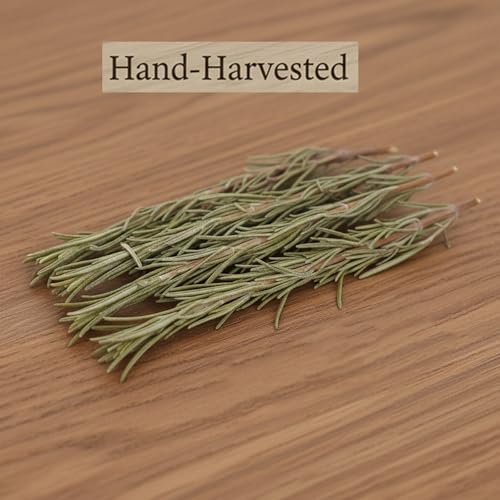 DYBOEDYO Dried Whole Rosemary Sprigs, 3.53oz(100g), 50~70 Rosemary Fresh Sprigs, Grade Dried Rosemary Sprigs for Baking & Beverages, Spices and Seasonings for Cooking Red Wine, Frying Steak, Pasta and Western Cuisine