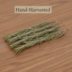 DYBOEDYO Dried Whole Rosemary Sprigs, 3.53oz(100g), 50~70 Rosemary Fresh Sprigs, Grade Dried Rosemary Sprigs for Baking & Beverages, Spices and Seasonings for Cooking Red Wine, Frying Steak, Pasta and Western Cuisine