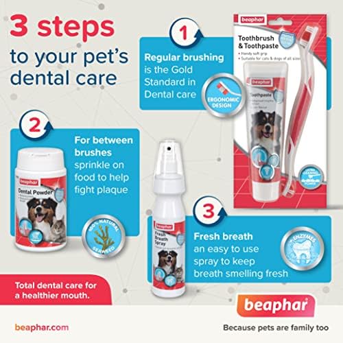 Beaphar Toothbrush and Toothpaste Kit, 100g, 2 Count (Pack of 1) (15303)