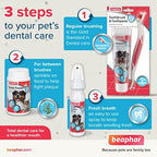 Beaphar Toothbrush and Toothpaste Kit, 100g, 2 Count (Pack of 1) (15303)