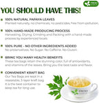 FreshDrinkUS, Premium 40 Papaya Leaf Tea Bags, 100% Natural & Pure from Papaya Leaves. Loose Leaf Herbal Tea. Made with Natural Material Tea Bags. No Sugar, No Caffeine, No Gluten, Vegan.