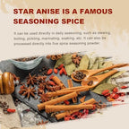 52USA Star Anise Whole, 4 Ounce (Pack of 1), NON-GMO Verified Chinese Star Anise Whole, Dried Star Anise Pods for Tea and baking