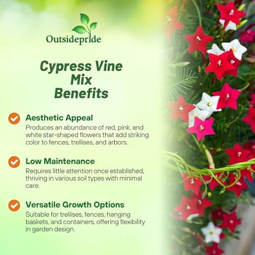 Outsidepride Mixed Cypress Vine Seeds - 100 Pcs Annual Flower Seeds with Nectar-Rich, Star-Shaped Flowers & Feathery, Fern-Like Leaves for Fences, Trellises, Pergolas & Vertical Gardens