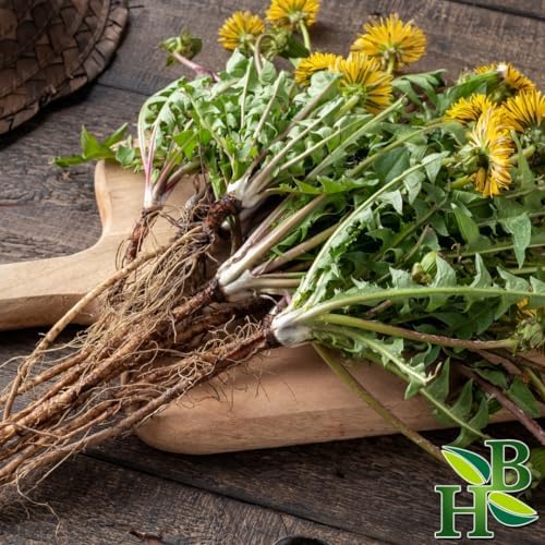 Herb To Body Dandelion Root Herb C/S - Taraxacum Officinale, Cut & Sifted Dried Dandelion Root for Loose Leaf Tea, Herbal Tea & Botanical Preparations, 4 oz