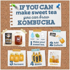 Fermentaholics BIG MOMMA Kombucha SCOBY – 12 fl o z – 6" Pellicle + 12 oz Starter Tea – Organic Kombucha Culture – Makes 1 Gallon