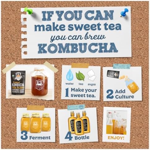 Fermentaholics BIG MOMMA Kombucha SCOBY – 12 fl o z – 6" Pellicle + 12 oz Starter Tea – Organic Kombucha Culture – Makes 1 Gallon