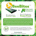BeeBites: SuperFood for Healthy Hives - Honey Bee Fondant with Spirulina and Chlorella - Probiotics Powered by Algae - Best Food for Queen Immunity - 10 Bars (50g Each)