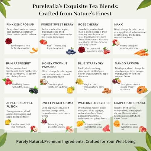 Pureleafia 12-Flavor Edible Herbal Fruit Infusion Gift Box, 15g x 12 Large Pouches, 100% Caffeine-Free & No Tea Base, Cold Brew & Hot Steep, One Pack Makes 2L, Natural & Healthy Summer Hydrator for Kids & Family