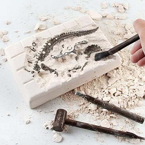 Dig & Discover Dino Tyrannosaurus Rex Dinosaur Skeleton 3D Fossil Bones Excavation, Science Educational Toy Kit for Kids, Children