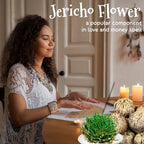 7 Pack Rose of Jericho Dried Plants - Rosa de Jerico Original, Dried Fern Like Scale Leaf Prayer Plants for Spiritual Purification, Home Decor