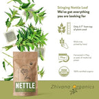 Nettle Tea Organic (100 Tea Bags) - Stinging Nettle Leaf TeaBags (Urtica Dioica) - Te de Ortiga Verde Organica - Support Digestion, Fluid Balance, Kidney, Skin, Hair