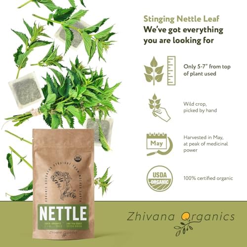 Nettle Tea Organic (100 Tea Bags) - Stinging Nettle Leaf TeaBags (Urtica Dioica) - Te de Ortiga Verde Organica - Support Digestion, Fluid Balance, Kidney, Skin, Hair