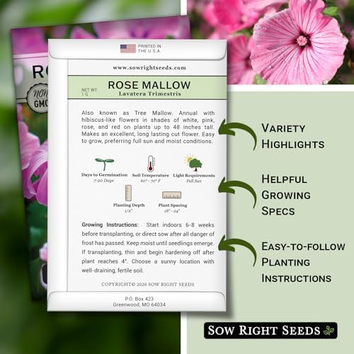 Sow Right Seeds - Rose Mallow Hibiscus Seeds for Planting - Non-GMO Heirloom Packet with Instructions to Grow - Tropical and Exotic Annual Tree Mallow - Blushing Rouge and Scarlet Blooms (1)