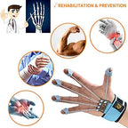 Finger Strengthener Hand Grip Strength Trainer Finger Extension Stretcher Exerciser Hand Rehab Work Out Relieve Pain Arthritis and Grip Training Krdebasai 40LB