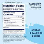 Jordan's Skinny Mixes Sugar Free Syrup, Raspberry Flavor, Fruit Flavored Water Enhancer, Drink Mix for Ice Tea, Lemonade & More, Zero Calorie Flavoring, Keto Friendly, 25.4 Fl Oz, 1 Pack