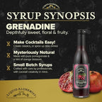 Liquid Alchemist Grenadine Syrup for Cocktails | Real Ingredients Make our Pomegranate Syrup for Drinks the Perfect Shirley Temple Mix | Small Batch, Non-GMO & Vegan | 12.7 oz Drink Mixer, Pack of 1