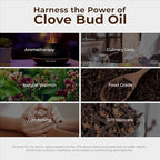 Viva Doria 100% Pure Clove Bud Essential Oil, Undiluted, Food Grade, 30 mL (1 Fluid Ounce)