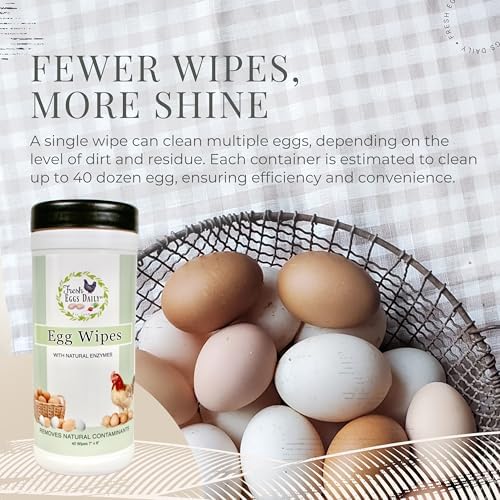 Fresh Eggs Daily Egg Wipes – Enzyme-Based Egg Cleaner for Backyard Chickens, No Rinse Needed, Natural Enzyme Formula – 40 Natural Cleaning Wipes