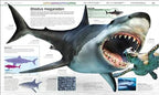Dinosaurios (Knowledge Encyclopedia Dinosaur!): Segunda edición (Spanish Edition)