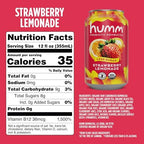 Humm Kombucha Strawberry Lemonade, Organic, Vegan & GMO Free (12 Pack)