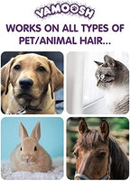 Vamoosh Pet Hair Dissolver | For Front Load | Patented Pet Hair Dissolving Formula | Removes Odor | Dissolves Dog, Cat & Animal Fur | Safe for Pets | No Harmful Chemicals | 100g (Pack of 3)