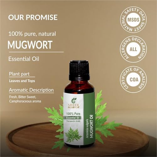 Mugwort Oil (Artemisia Vulgaris) Essential Oil 100% Pure Natural Undiluted Uncut Therapeutic Grade Oil 1.01 Fl.OZ