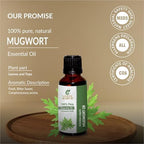 Mugwort Oil (Artemisia Vulgaris) Essential Oil 100% Pure Natural Undiluted Uncut Therapeutic Grade Oil 1.01 Fl.OZ