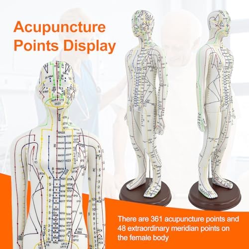 Acupuncture Model, Human Acupoint Model 20.5in Full Body Silicone Professionals Clear Identification with Base for Chinese Medicine Teaching Acupoint Student Demonstration (Female）