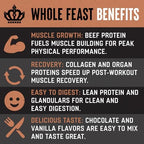 The Fittest Whole Feast Beef Protein Powder - Milk Chocolate - Grass Fed Nose to Tail Carnivore Blend Including Liver, Colostrum and Whole Bone - BCAAs - 14g Collagen, 21g Total Protein