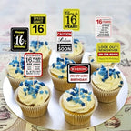 36Pcs 16th Birthday Card Cupcake Toppers Cheers to 16 Years Sweet 16 Speed Limit 16 It's My 16th Sixteen and Driving Soon Birthday Cupcake Picks Funny Birthday Anniversary Paper Cards Decorations