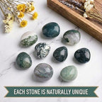Super Large Polished Moss Agate Healing Crystal Stones - 2 Pcs of 1.2" Worry Stone for Anxiety, Pocket Palm Gemstones Handpicked Natural Tumbled Rocks for Meditation, Reiki, Chakra, Home Decor