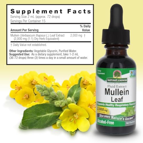 Nature's Answer Mullein Herb - Mullein Leaf Extract for Lungs - Alcohol Free, Non GMO, Made in USA - Supports Respiratory Function & Promotes Healthy Lungs - Mullein Leaf 1 Ounce Extract